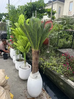 Artificial Cycad Palms