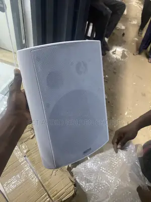 Lucky Tone Out Door Speaker