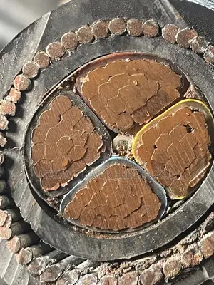 120mm 4core Armored Cable
