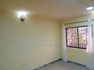 Limewash Paint and Application