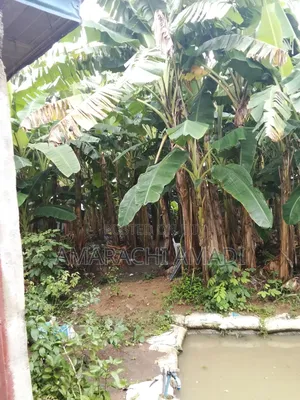 Half Plot of Land for Sale