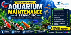 Aquarium Servicing