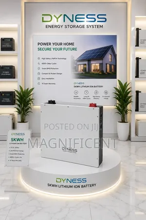 Dyness 5kwh Lithium Ion Battery 51.2v 100ah Solar Energy Storage Solu
