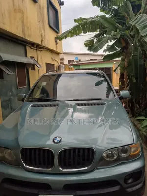 BMW X5 2005 Green