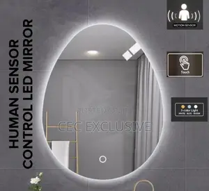 Egg Shape Human Sensor Mirror With Light