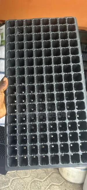 Seed Trays
