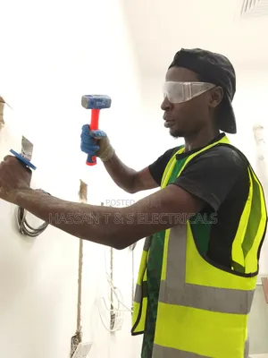 Professional Electrician