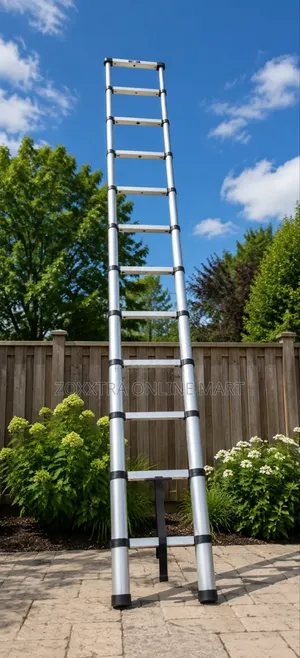6.3 Metres Telescopic Ladder