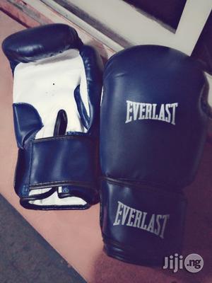 Everlast Boxing Glove Good Quality
