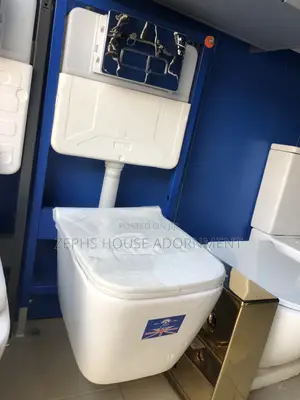 Wall Hung Water Closet