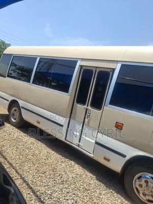 Toyota Coaster 2010 Brown