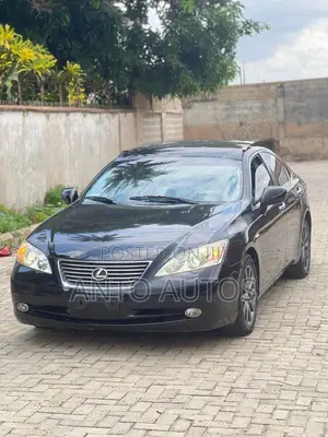 Lexus ES 350 2009 Gray