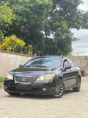 Lexus ES 350 2009 Gray