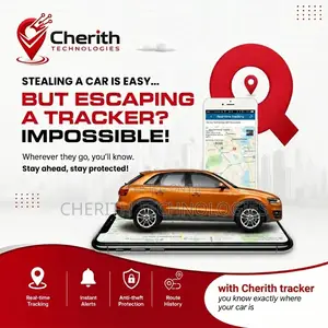 Smart Car Gps/Gprs Tracker With Installation Service