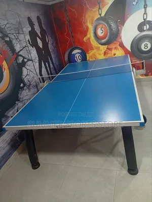 Luxury Outdoor Table Tennis