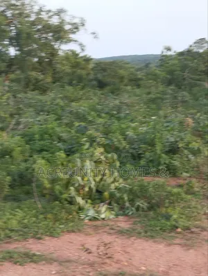 400 Acres of Agricultural Farmland for Sale, Adekola Village, Adoawaye