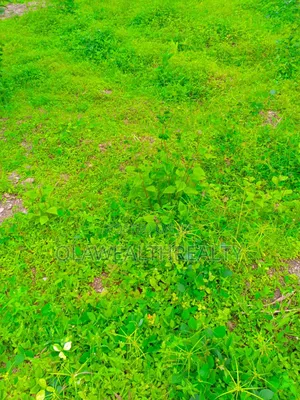 2,864sqm Residential Land at Wuse 2