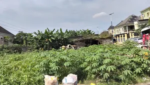 For Sale : 11 Plots at Road 20, Sars Road, Rumuaghulu, Ph