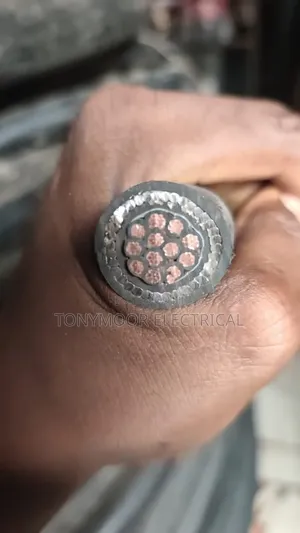 2.5mmx12core Armored Cable