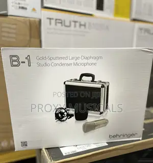 Behringer B-1 Studio Condenser Microphone