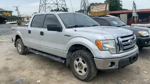 Ford F-150 2012 Silver