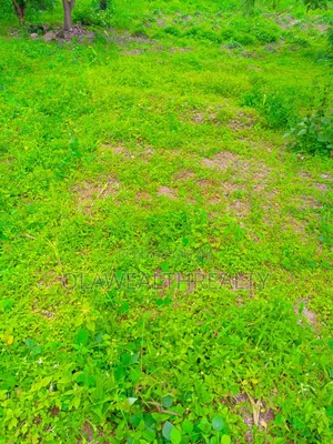 1,750sqm Commercial Land at Wuse 2
