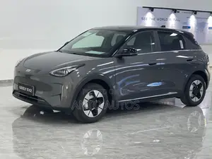 New Geely EX5 BEV 60 kWh FWD 2025 Gray
