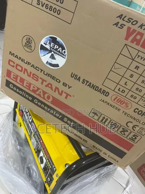 Elepaq Sv6800 Manual Start Generator Available