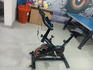 Luxury Spinning Bike