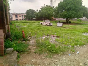 2,550 SQM Virgin Land Facing Directly on Opebi - Oregun