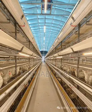 Poultry Chicken Hens Farming Cages Battery Cages