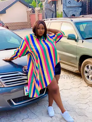 Multi Color Shirt Dress