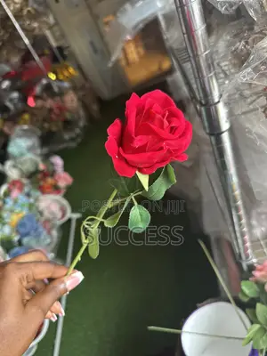 Rose Flowers