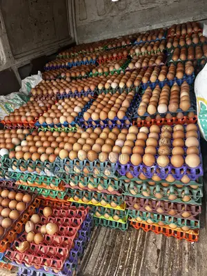 Big Fresh Eggs for Sale N4900