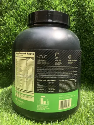 Optimum Nutrition Serious Mass