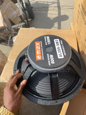 Omax 15 Inches Speaker