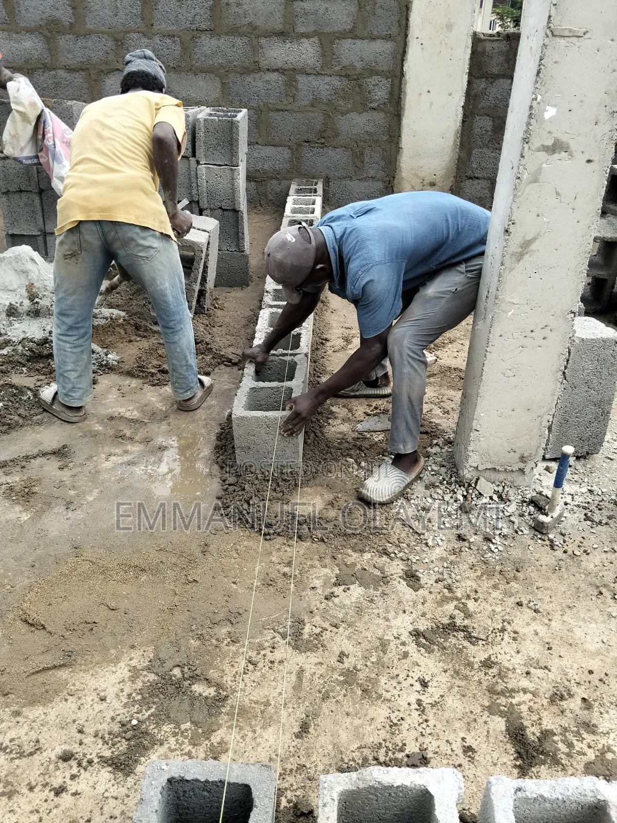 Builder/Site Engineer