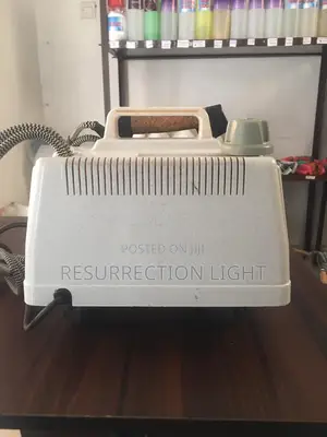 Italian Industral Pony Baby Steam Iron for Laundry and Dry Cleaning