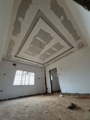 Expert Wall Screeding