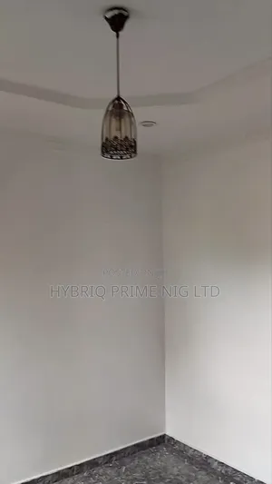 Professional Wall Screeding Services – Smooth Perfect Finish
