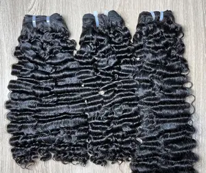 Burmese Curls
