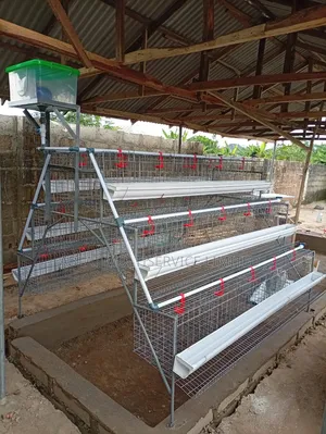 Solid Cage
