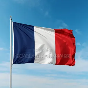 France Business/Job Seeker Visa