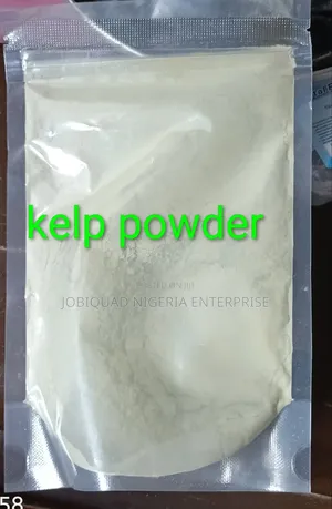Kelp Organic Powder a Nutrient Dense Superfood 250g