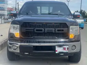 Ford F-150 Platinum 2011 Black