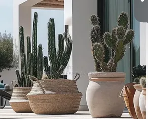 Gardening and Landscaping Services