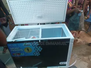 Nexus Inverter Deep Freezer 250l