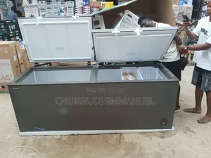 Hisense 702l Double Door Freezer