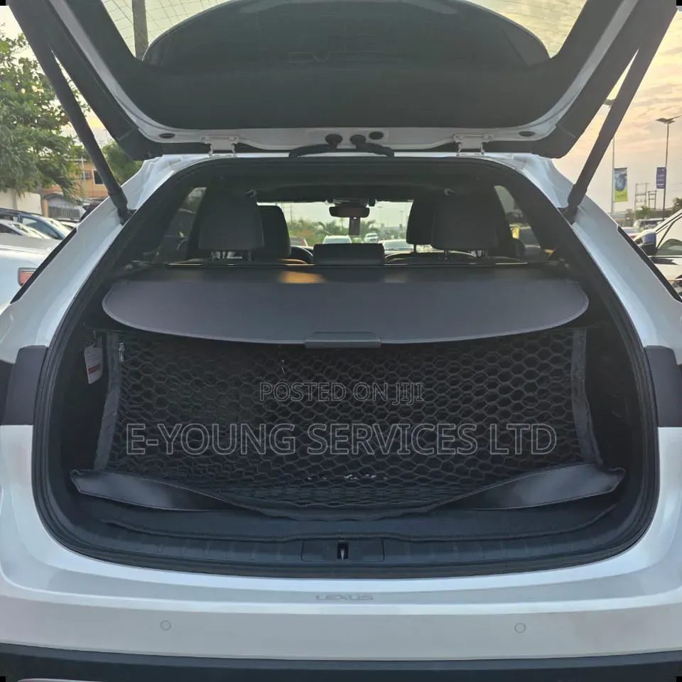 Lexus RX 2025 White