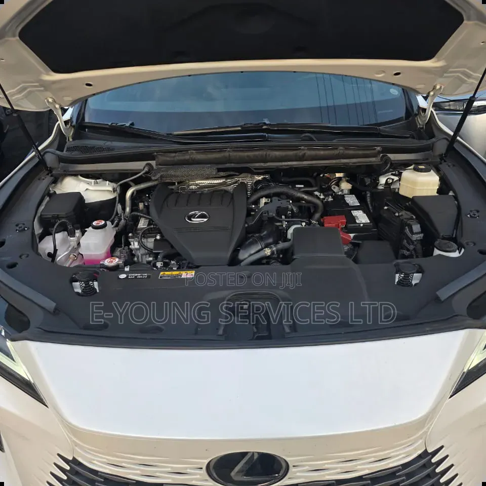 Lexus RX 2025 White